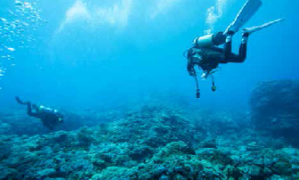 Diving Image